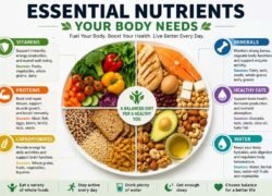 Essential Nutrients Your Body Needs